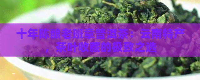 十年陈酿老班章普洱茶：云南特产，茶叶收藏的极致之选