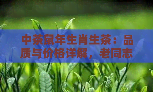 中茶鼠年生肖生茶：品质与价格详解，老同志鼠年生肖茶的独特魅力