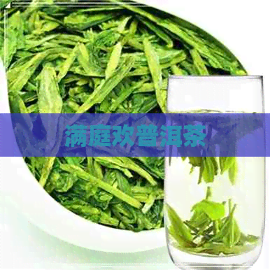 满庭欢普洱茶