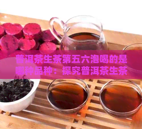 普洱茶生茶第五六泡喝的是哪种品种：探究普洱茶生茶第五六泡的选择