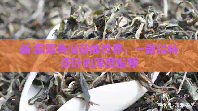 新 探索普洱茶的世界：一款独特茶叶的深度推荐