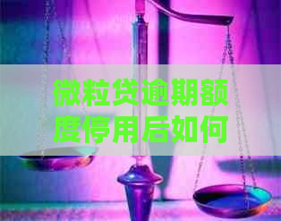 微粒贷逾期额度停用后如何重新启用：全面解决用户搜索的常见问题和步骤