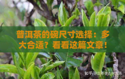 普洱茶的碗尺寸选择：多大合适？看看这篇文章！