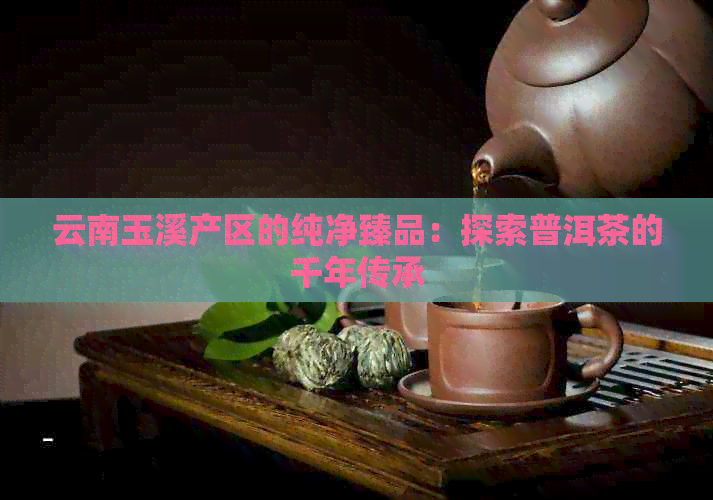 云南玉溪产区的纯净臻品：探索普洱茶的千年传承