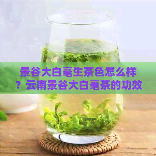 景谷大白毫生茶色怎么样？云南景谷大白毫茶的功效、特点与种类解析