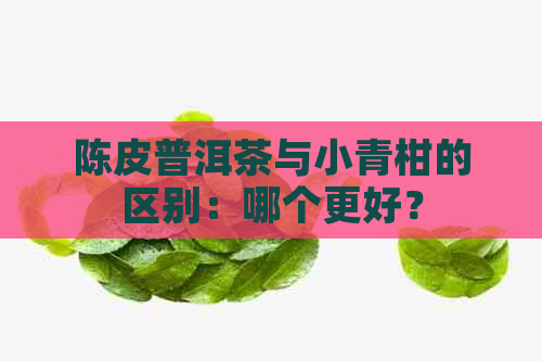 陈皮普洱茶与小青柑的区别：哪个更好？