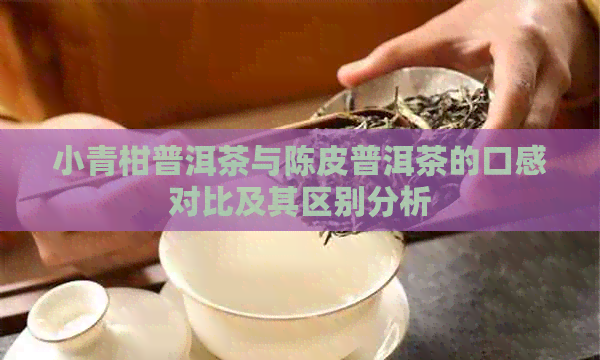 小青柑普洱茶与陈皮普洱茶的口感对比及其区别分析