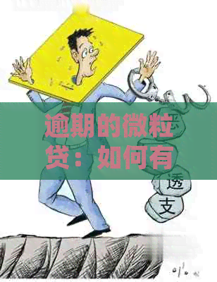 逾期的微粒贷：如何有效修复信用记录并恢复