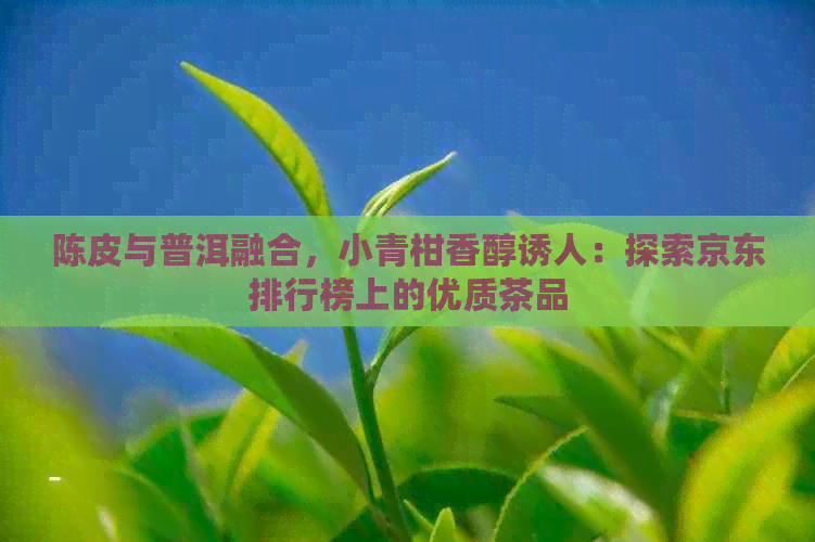 陈皮与普洱融合，小青柑香醇诱人：探索京东排行榜上的优质茶品