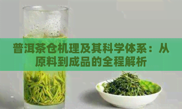 普洱茶仓机理及其科学体系：从原料到成品的全程解析