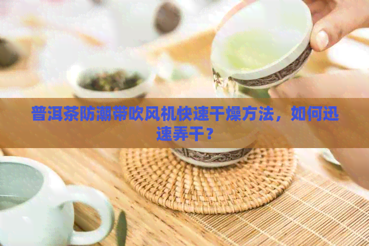 普洱茶防潮带吹风机快速干燥方法，如何迅速弄干？