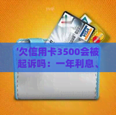 '欠信用卡3500会被起诉吗：一年利息、强制执行问题全解析'