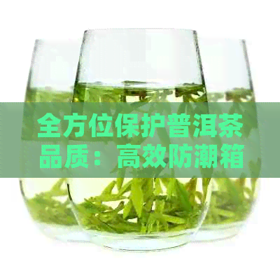 全方位保护普洱茶品质：高效防潮箱使用指南