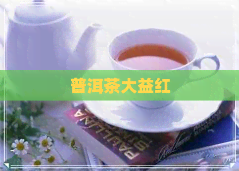 普洱茶大益红