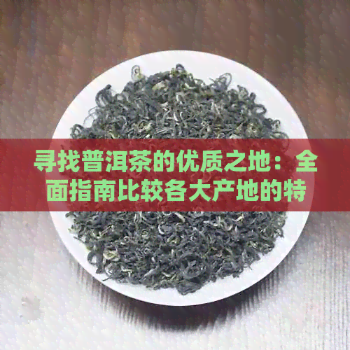 寻找普洱茶的优质之地：全面指南比较各大产地的特点和口感