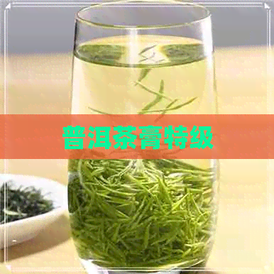 普洱茶膏特级