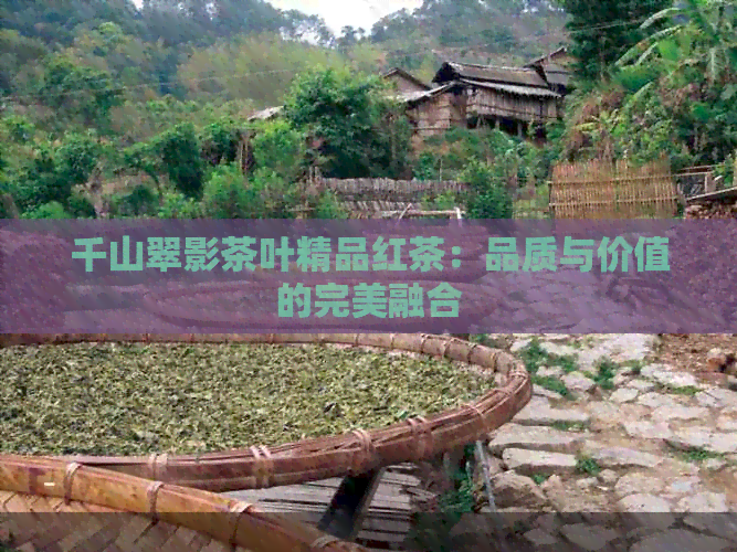 千山翠影茶叶精品红茶：品质与价值的完美融合