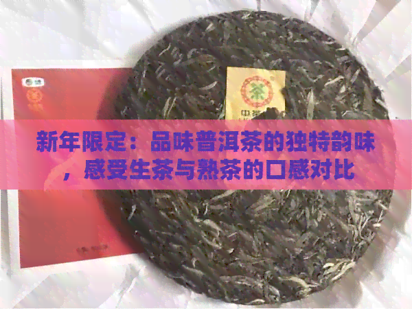 新年限定：品味普洱茶的独特韵味，感受生茶与熟茶的口感对比