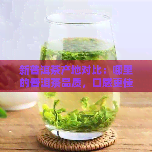 新普洱茶产地对比：哪里的普洱茶品质，口感更佳？