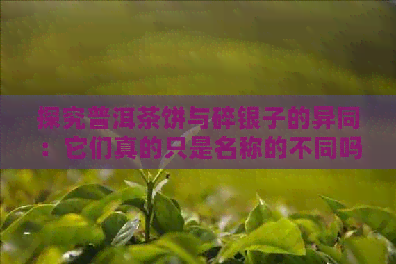 探究普洱茶饼与碎银子的异同：它们真的只是名称的不同吗？