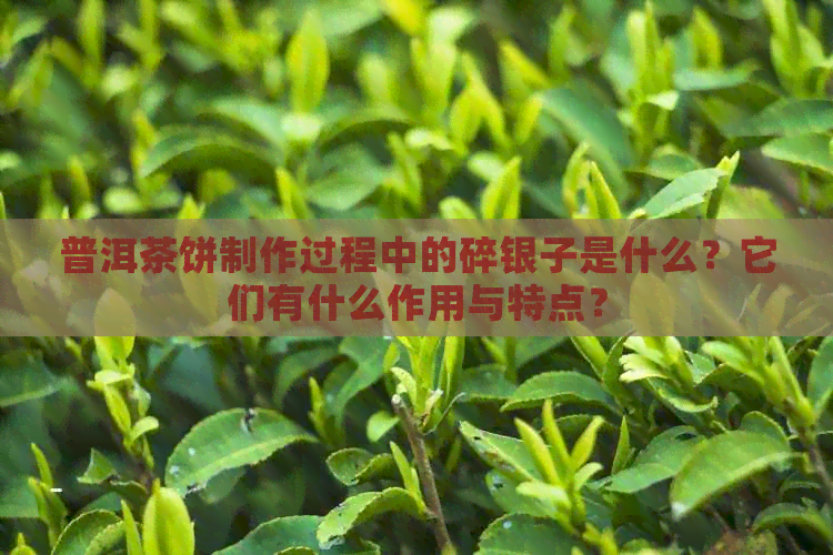 普洱茶饼制作过程中的碎银子是什么？它们有什么作用与特点？