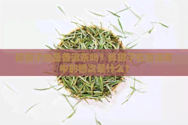 碎银子也是普洱茶吗？碎银子在普洱茶中的档次是什么？