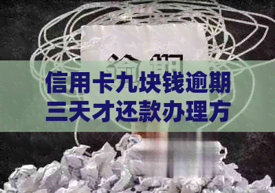 信用卡九块钱逾期三天才还款办理方法：10天3块钱逾期处理策略