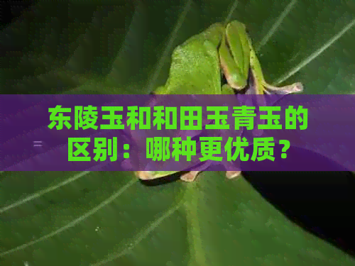 东陵玉和和田玉青玉的区别：哪种更优质？