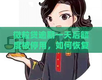 微粒贷逾期一天后额度被停用，如何恢复额度并避免逾期后果？