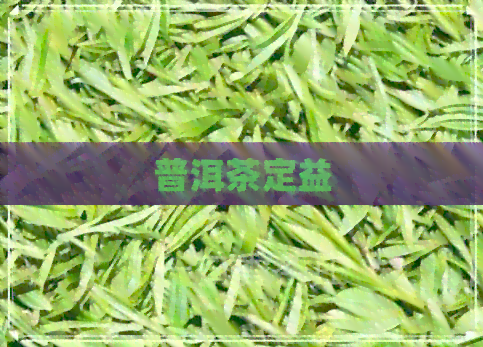 普洱茶定益