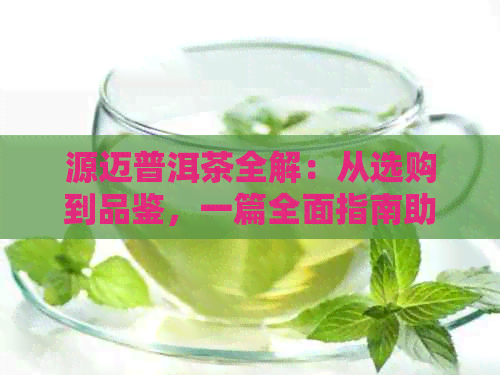 源迈普洱茶全解：从选购到品鉴，一篇全面指南助你成为洱茶专家