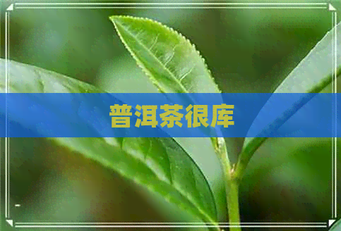 普洱茶很库