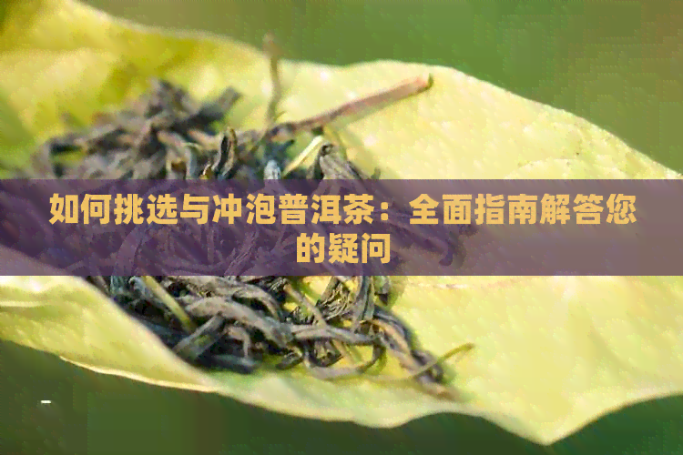 如何挑选与冲泡普洱茶：全面指南解答您的疑问