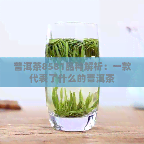 普洱茶8581品种解析：一款代表了什么的普洱茶