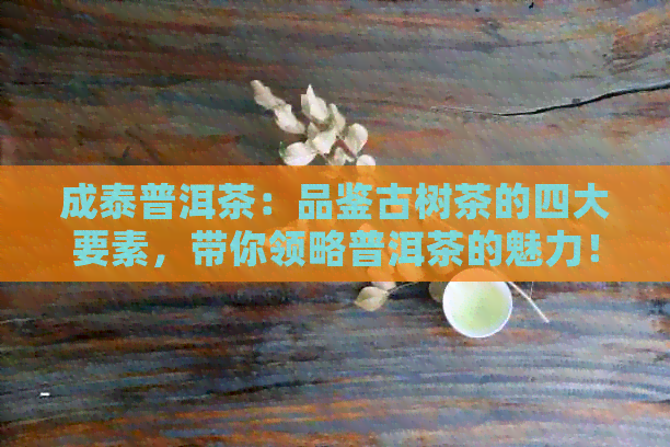 成泰普洱茶：品鉴古树茶的四大要素，带你领略普洱茶的魅力！