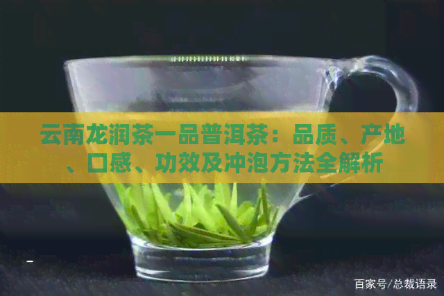 云南龙润茶一品普洱茶：品质、产地、口感、功效及冲泡方法全解析