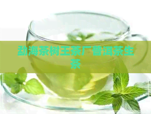 勐海茶树王茶厂普洱茶生茶