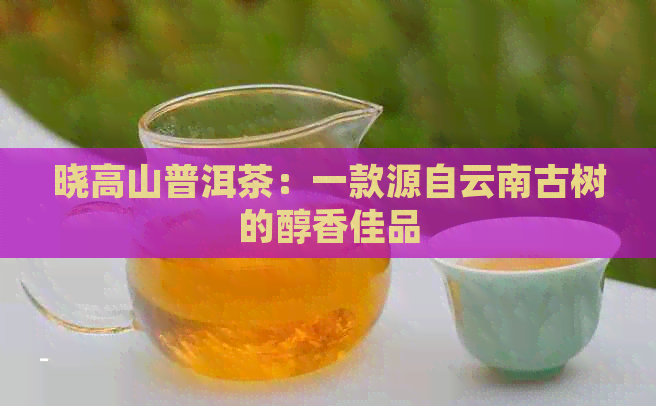 晓高山普洱茶：一款源自云南古树的醇香佳品