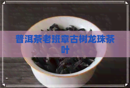 普洱茶老班章古树龙珠茶叶