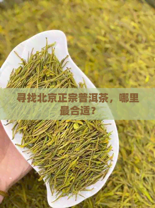 寻找北京正宗普洱茶，哪里最合适？