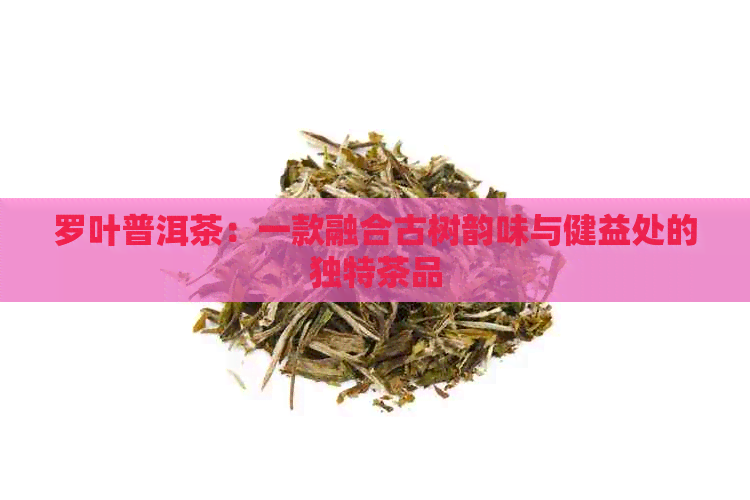 罗叶普洱茶：一款融合古树韵味与健益处的独特茶品