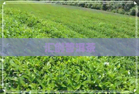 汇创普洱茶