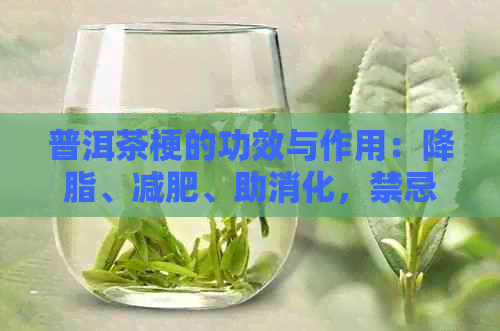 普洱茶梗的功效与作用：降脂、减肥、助消化，禁忌过量饮用。