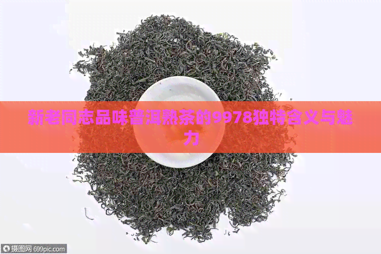 新老同志品味普洱熟茶的9978独特含义与魅力