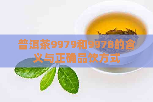 普洱茶9979和9978的含义与正确品饮方式