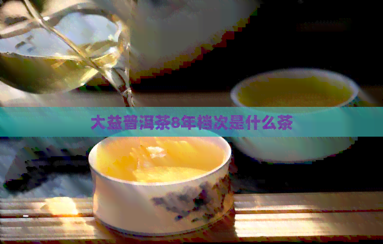 大益普洱茶8年档次是什么茶