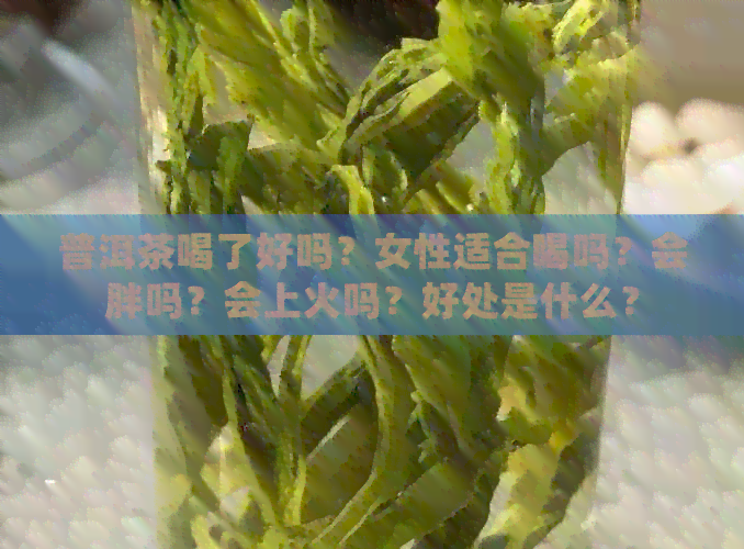 普洱茶喝了好吗？女性适合喝吗？会胖吗？会上火吗？好处是什么？