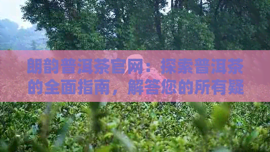 朗韵普洱茶官网：探索普洱茶的全面指南，解答您的所有疑问