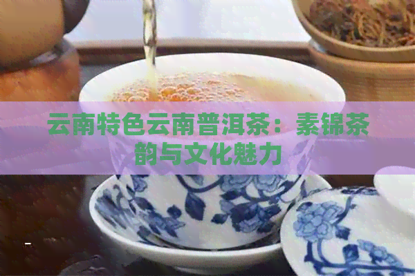 云南特色云南普洱茶：素锦茶韵与文化魅力