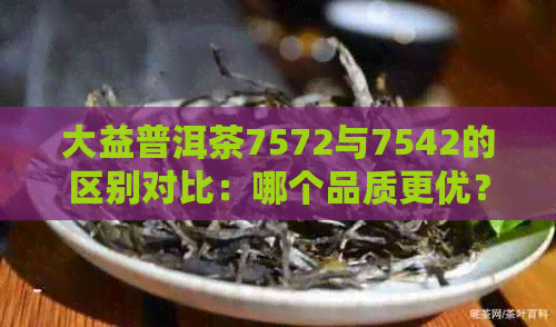 大益普洱茶7572与7542的区别对比：哪个品质更优？购买建议及口感体验